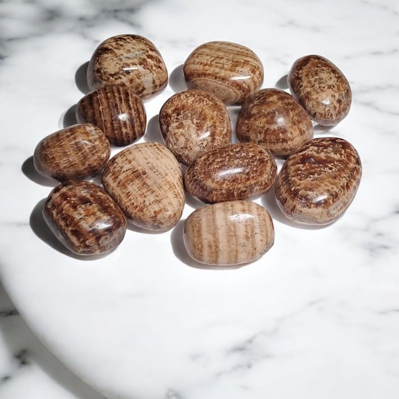 3 Aragonite Tumbled Stones – Grounding, Stability, Focus + Gift Bag