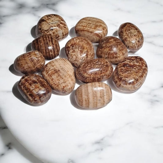 3 Aragonite Tumbled Stones – Grounding, Stability, Focus + Gift Bag