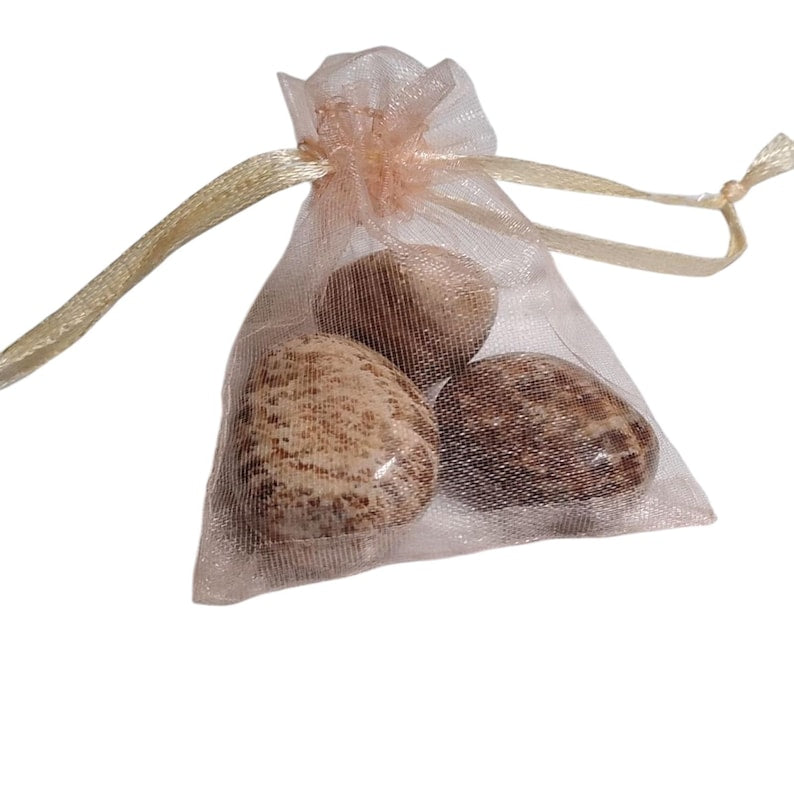 3 Aragonite Tumbled Stones – Grounding, Stability, Focus + Gift Bag