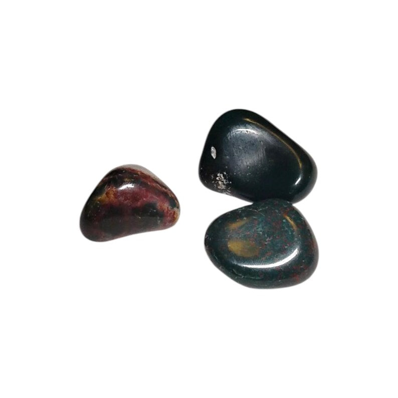 3 Bloodstone Tumbled Healing Crystals - Grounding Energy - Gift Bag Included