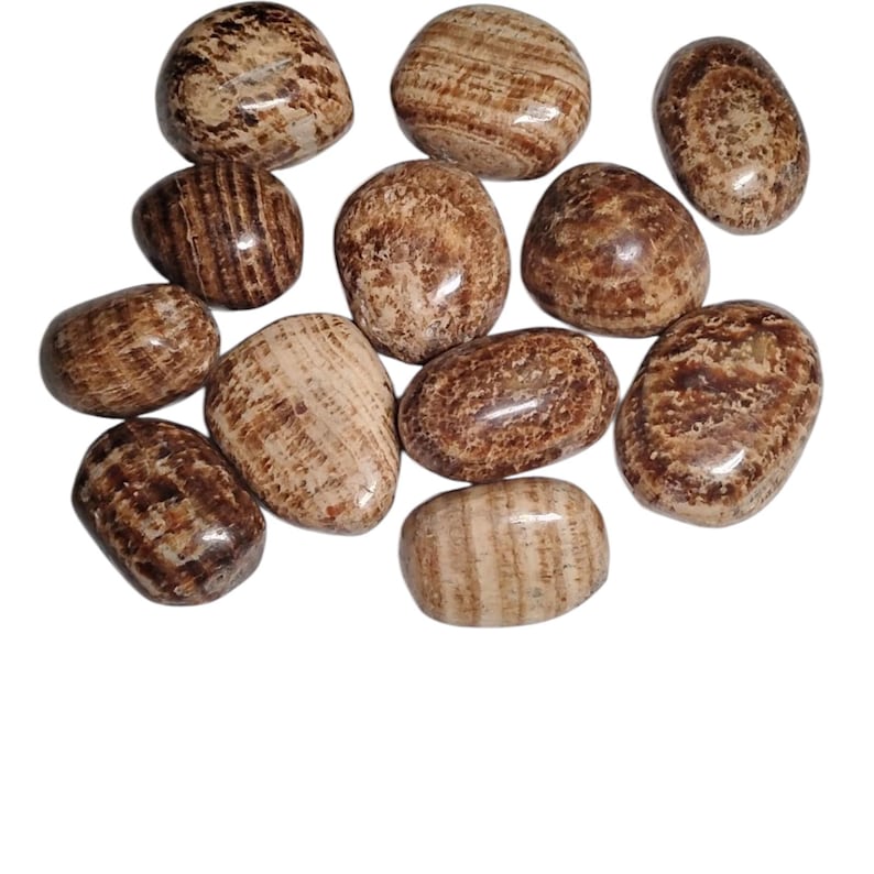 3 Aragonite Tumbled Stones – Grounding, Stability, Focus + Gift Bag
