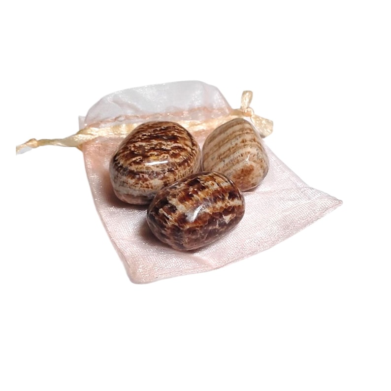3 Aragonite Tumbled Stones – Grounding, Stability, Focus + Gift Bag