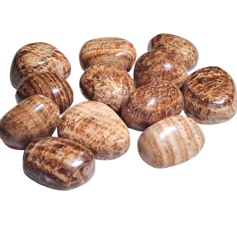 3 Aragonite Tumbled Stones – Grounding, Stability, Focus + Gift Bag