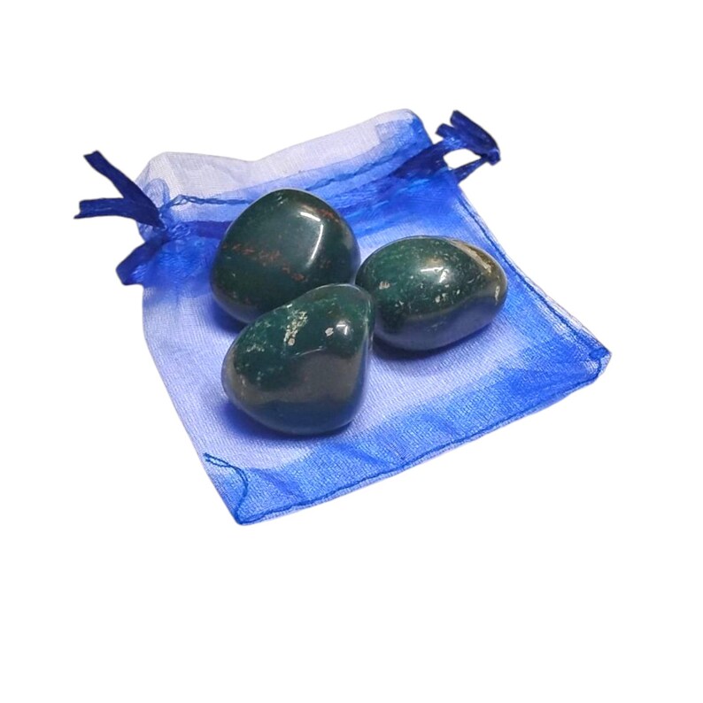 3 Bloodstone Tumbled Healing Crystals - Grounding Energy - Gift Bag Included