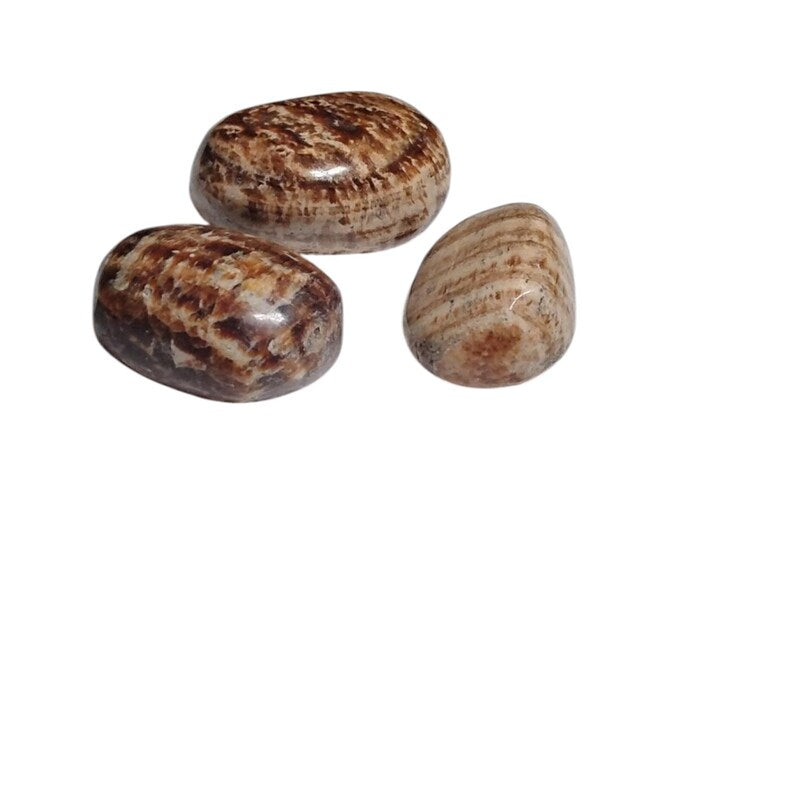 3 Aragonite Tumbled Stones – Grounding, Stability, Focus + Gift Bag