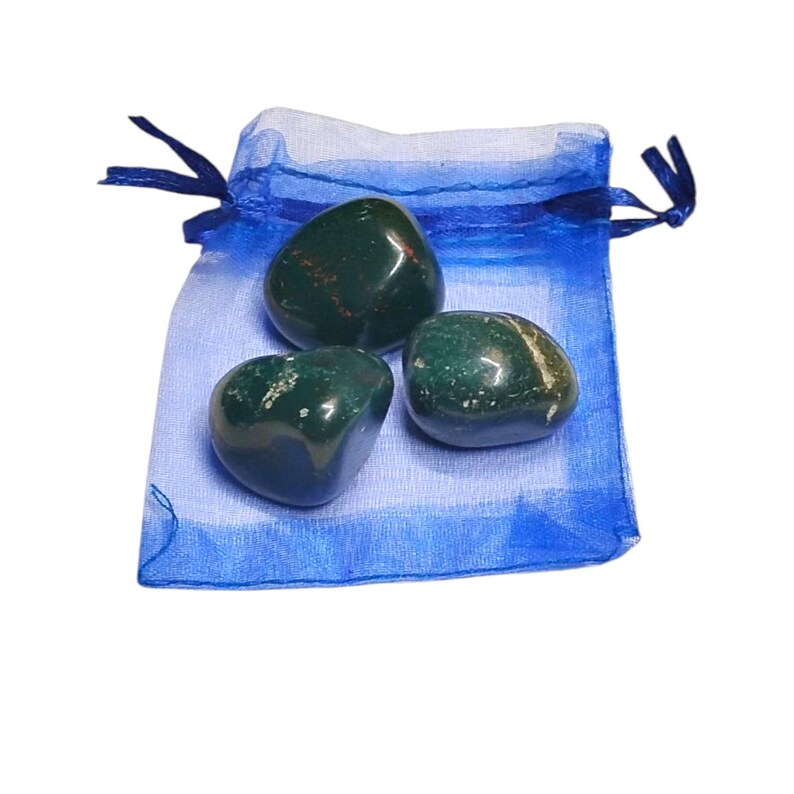 3 Bloodstone Tumbled Healing Crystals - Grounding Energy - Gift Bag Included