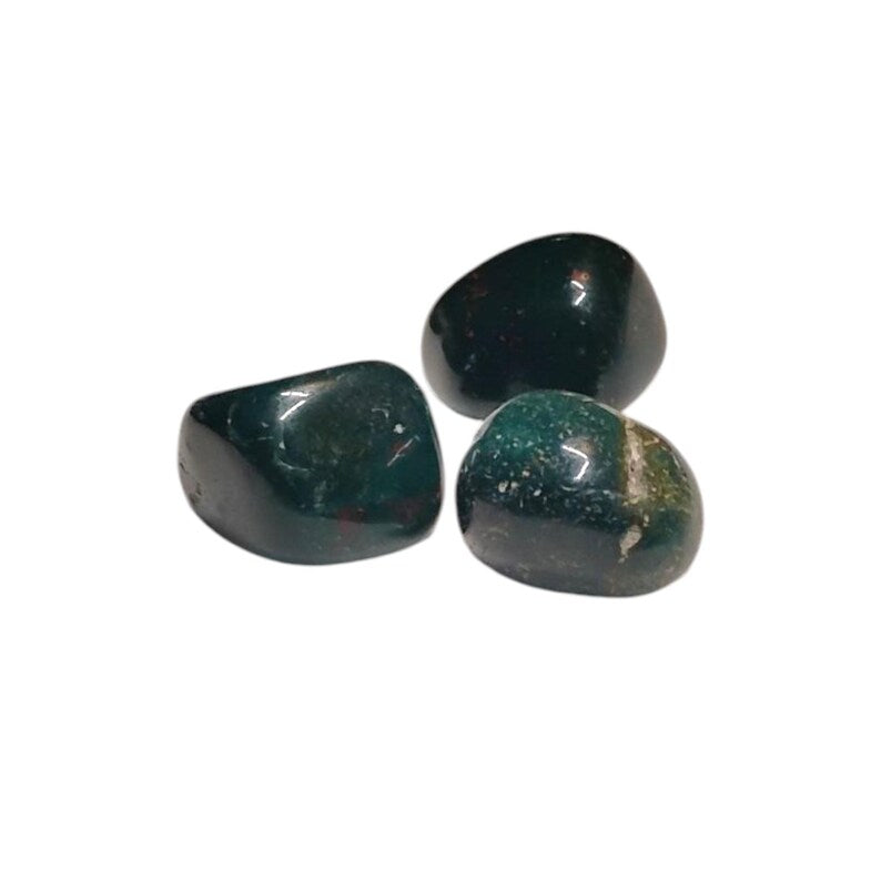 3 Bloodstone Tumbled Healing Crystals - Grounding Energy - Gift Bag Included