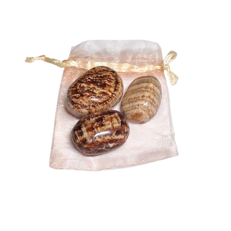 3 Aragonite Tumbled Stones – Grounding, Stability, Focus + Gift Bag