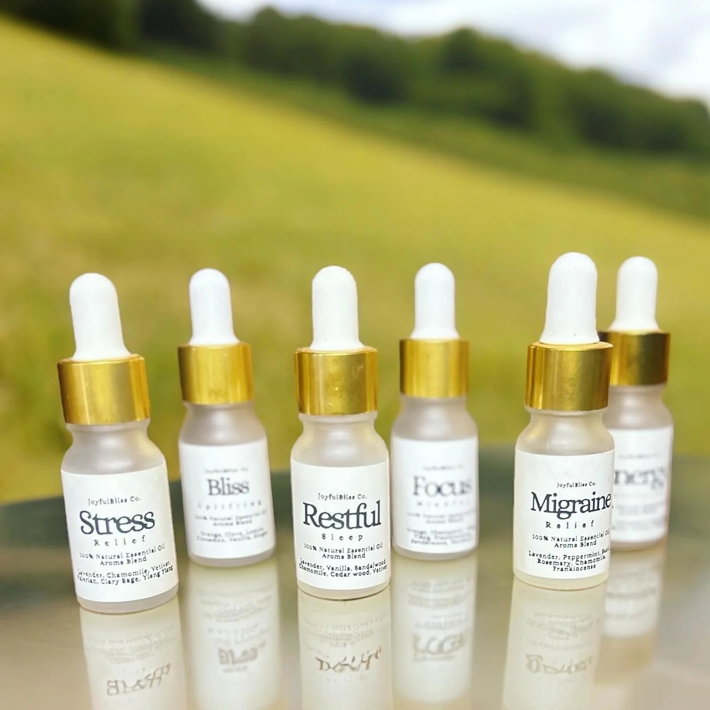 Essential Wellness Collection – 10ml Essential Oil Blend Set (6 Bottles)