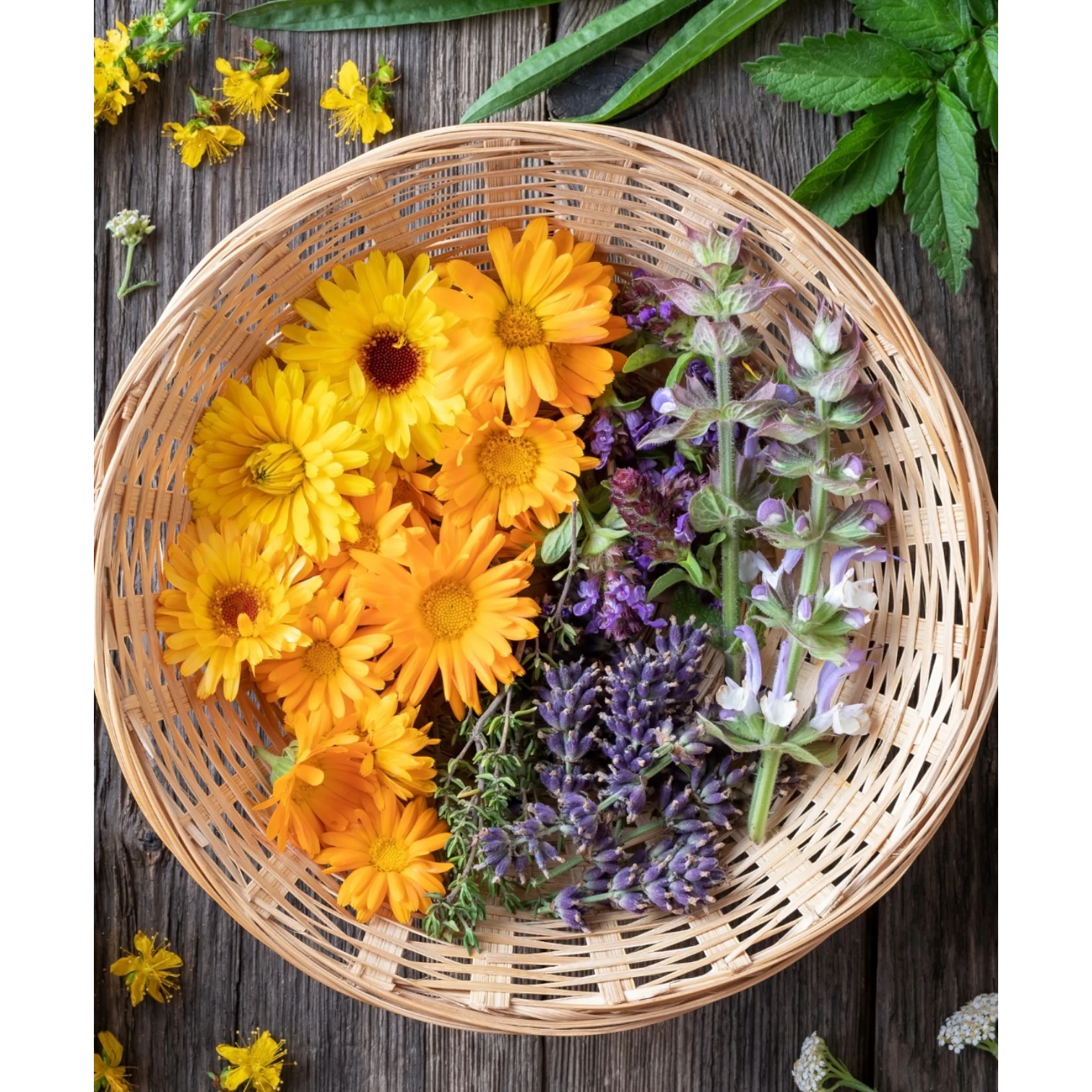 JoyfulBliss Co. ritual oil ingredients featuring fresh orange calendula, purple lavender, and sage in a woven basket